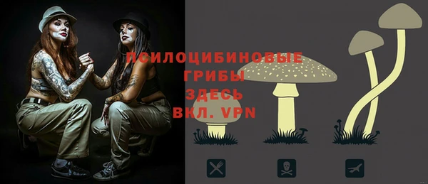 a pvp Заводоуковск