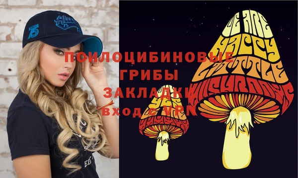 a pvp Заводоуковск